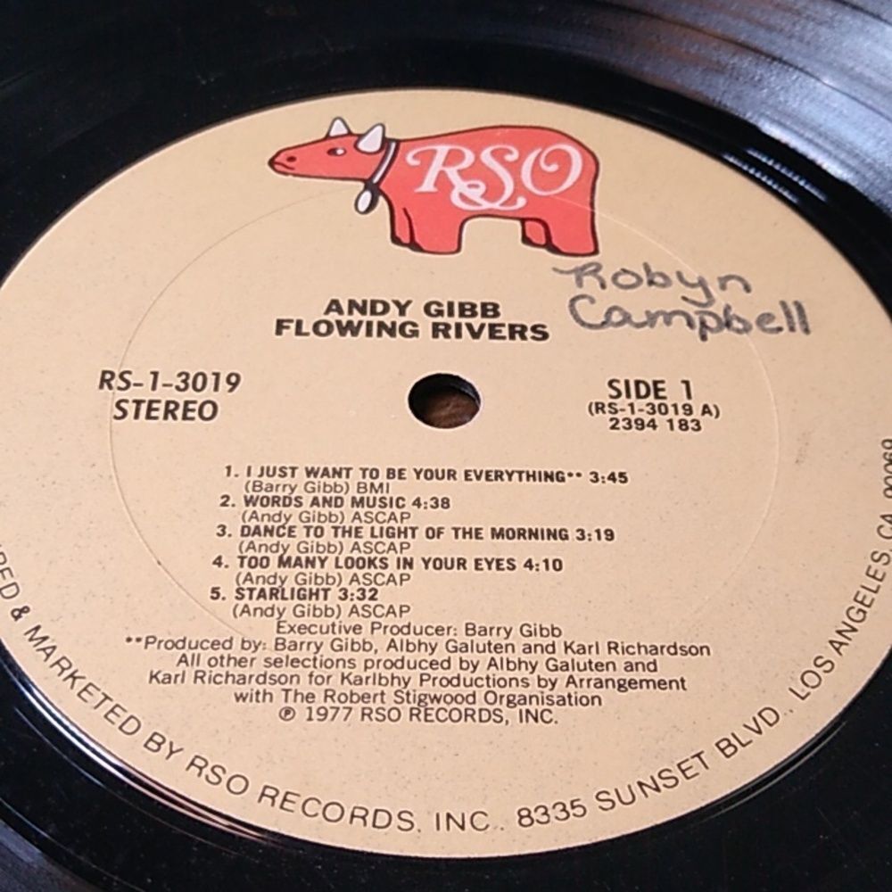 Andy Gibb Flowing Rivers Vinyl Record - Picture 9 of 11